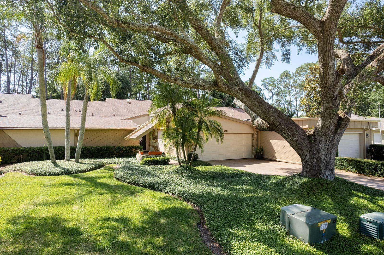 TARPON WOODS 2ND ADD REP - Residential