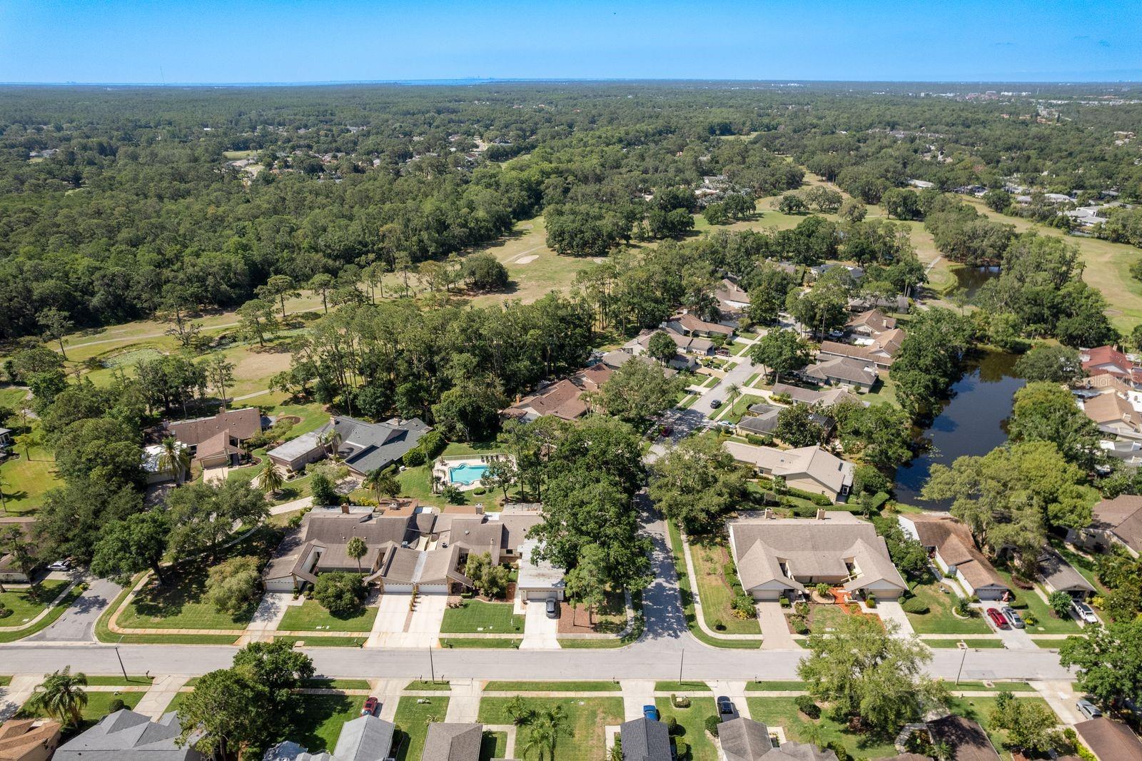 TARPON WOODS 2ND ADD REP - Residential