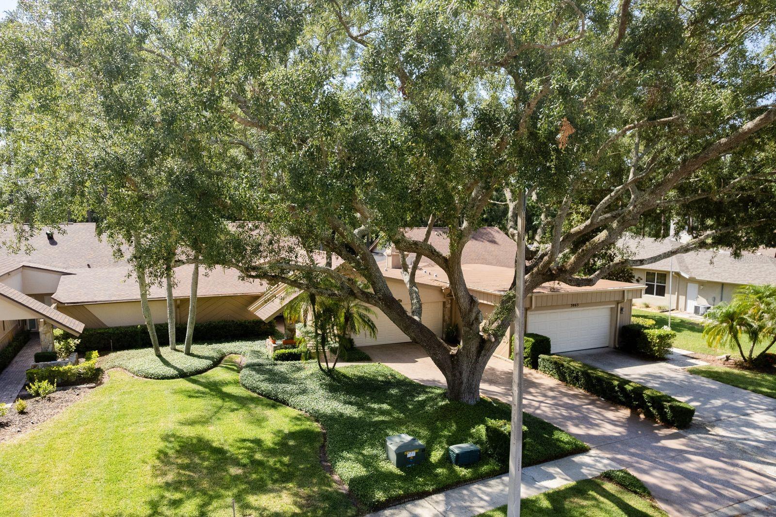 TARPON WOODS 2ND ADD REP - Residential