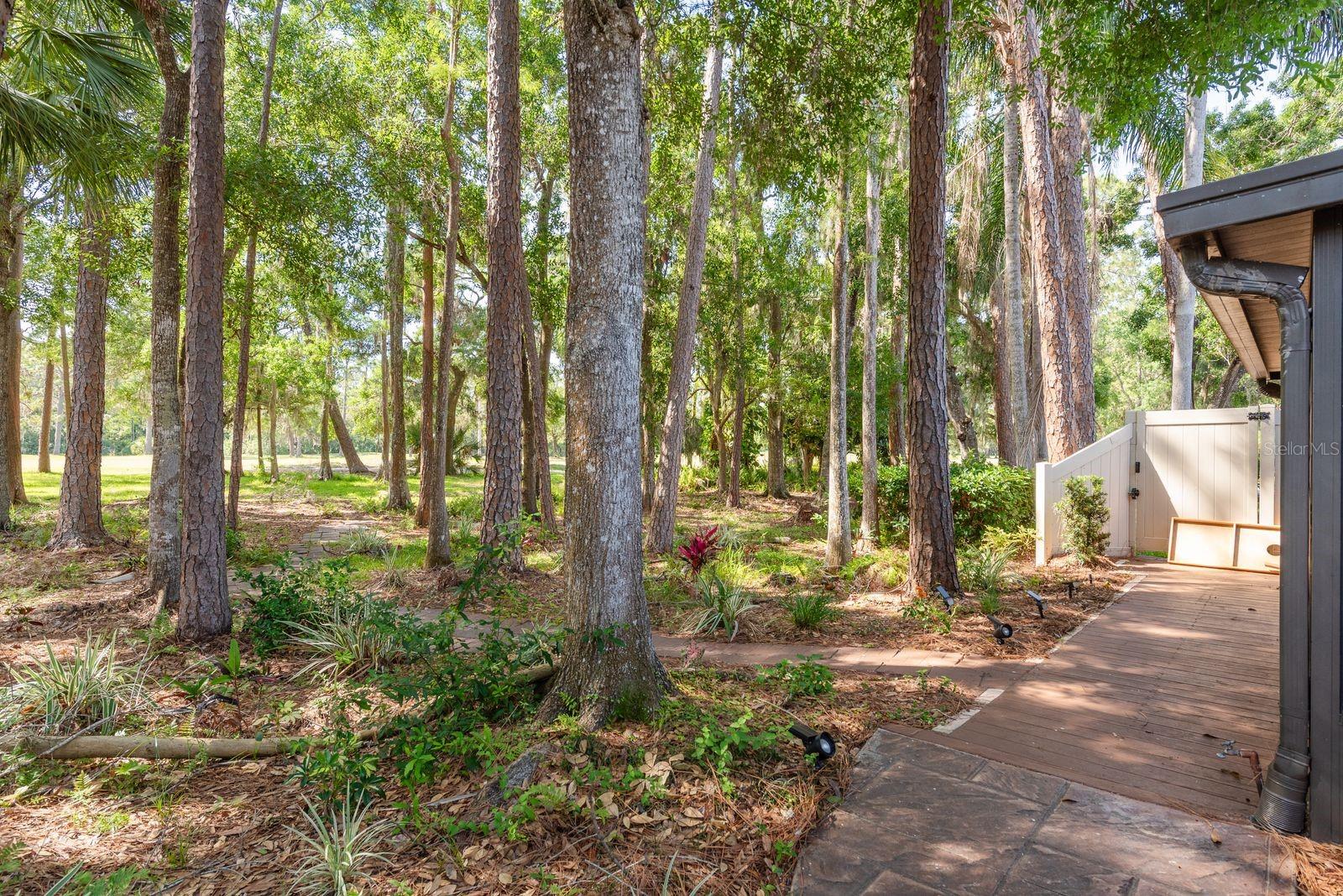 TARPON WOODS 2ND ADD REP - Residential