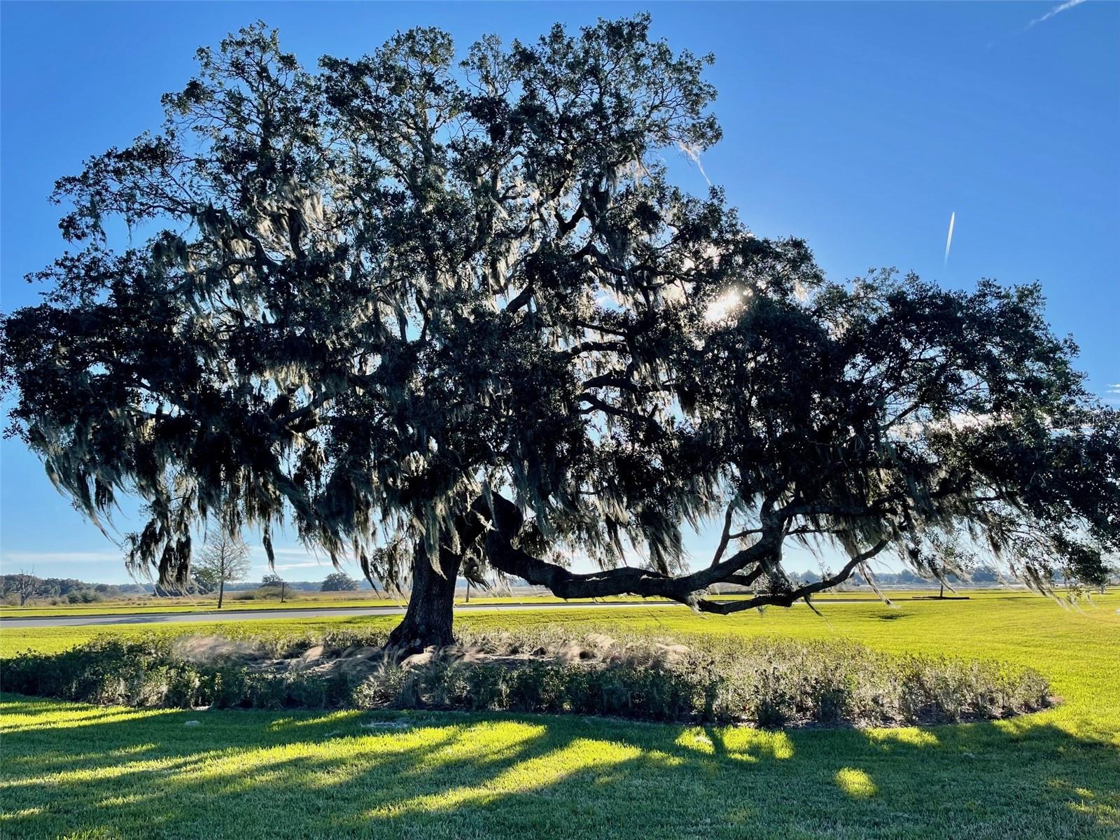 MIRADA PRCL 16-1 - Residential