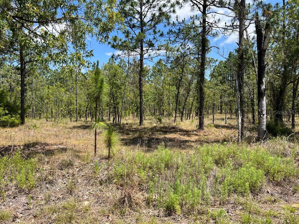 RAINBOW LAKES ESTATE - Land