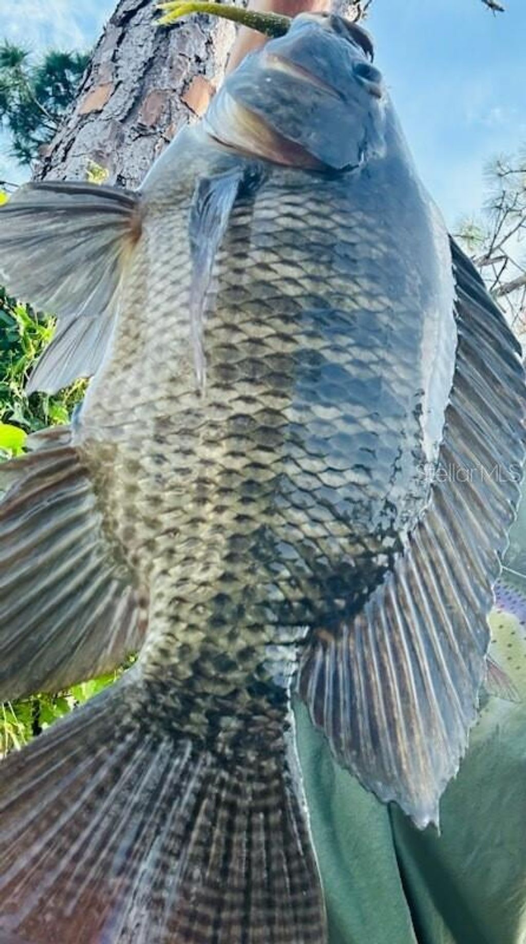 Photo of 7711 Cosmo Court, Port Charlotte, FL 33981 (MLS # D6134931)