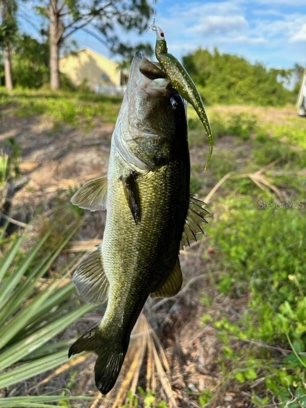 Photo of 7711 Cosmo Court, Port Charlotte, FL 33981 (MLS # D6134931)