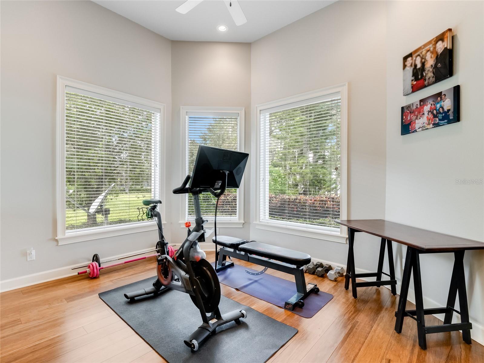 WYNDHAM AT LAKE WINTERSET - Residential