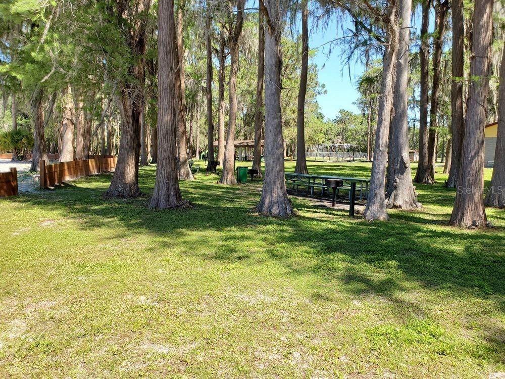 MOON LAKE ESTATES - Residential