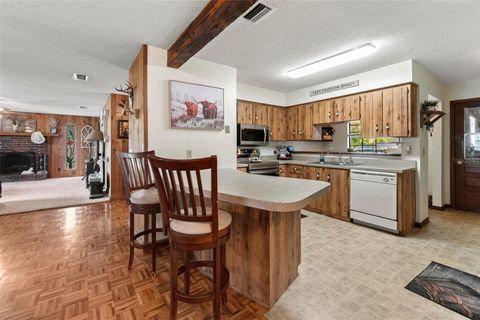 A home in FLAGLER BEACH