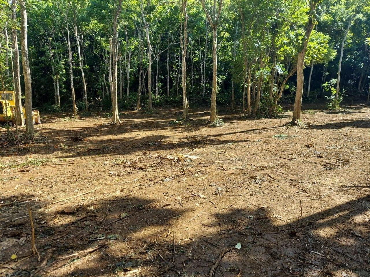 This oasis of tranquility is strategically located away from populated areas, ensuring a peaceful retreat into nature's embrace. Yet, its proximity to civilization (10 min. from Barceloneta Outlets) is a defining feature, providing the best of both worlds. The land is Zoned SREP-EH, it has 3 water meters and a small shell condition structure. The land comes with a recent land survey and a land study (SUBSOIL EXPLORATION AND GEOTECHNICAL ENGINEERING REPORT) for the purposes of building your dream project. The land comes alive w/ the stirring sounds of wildlife, creating an immersive experience for any nature enthusiast. Accessible enough for convenience yet secluded enough to escape the stresses of urban life, this retreat is a sanctuary for those who seek solace in the wild. These 19.14 cuerdas/ 75,227.77 SM/ 18.58 acres offer an unparalleled blend of rugged charm & natural elegance with easy access to main roads. This is your invitation to own a landscape just waiting to be explored & cherished!!