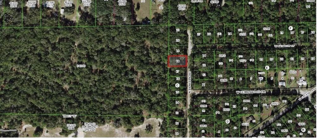Photo of 10452 N Dunedin Rd, Dunnellon, FL 34433 (MLS # TB8452649)