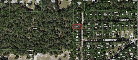 10452 N DUNEDIN RD DUNNELLON FL 34433