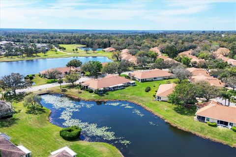 Photo of 2020 Nantucket Drive, Sun City Center, FL 33573 (MLS # TB8418592)
