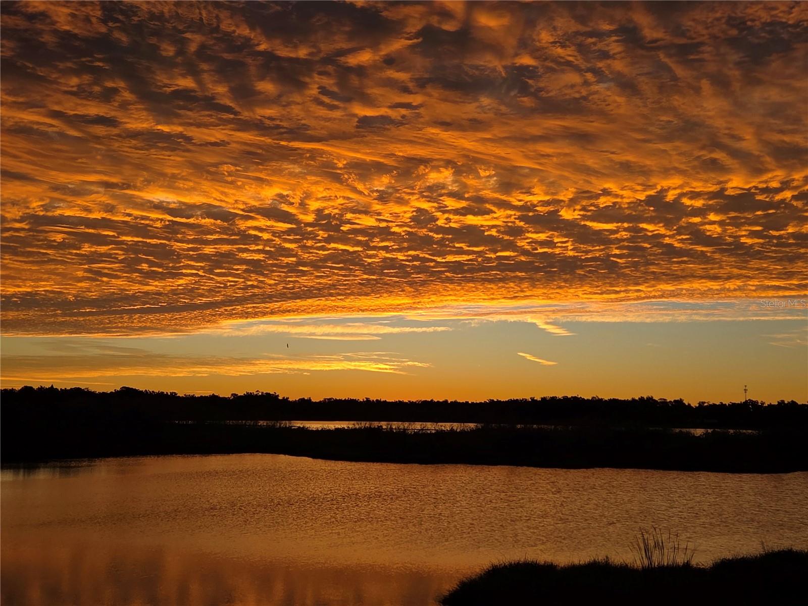 BRANDON LAKES - Residential