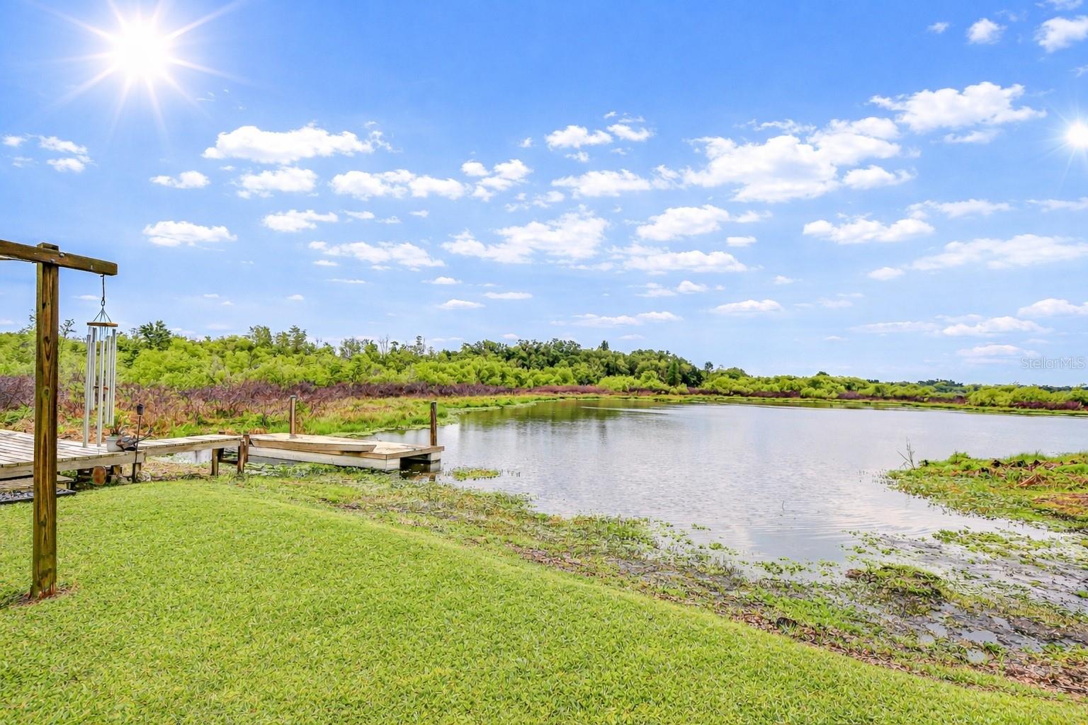 1216 BRANDON LAKES AVENUE