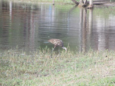 Tiny photo for 2380 SE 174th Court, Silver Springs, FL 34488 (MLS # OM722014)