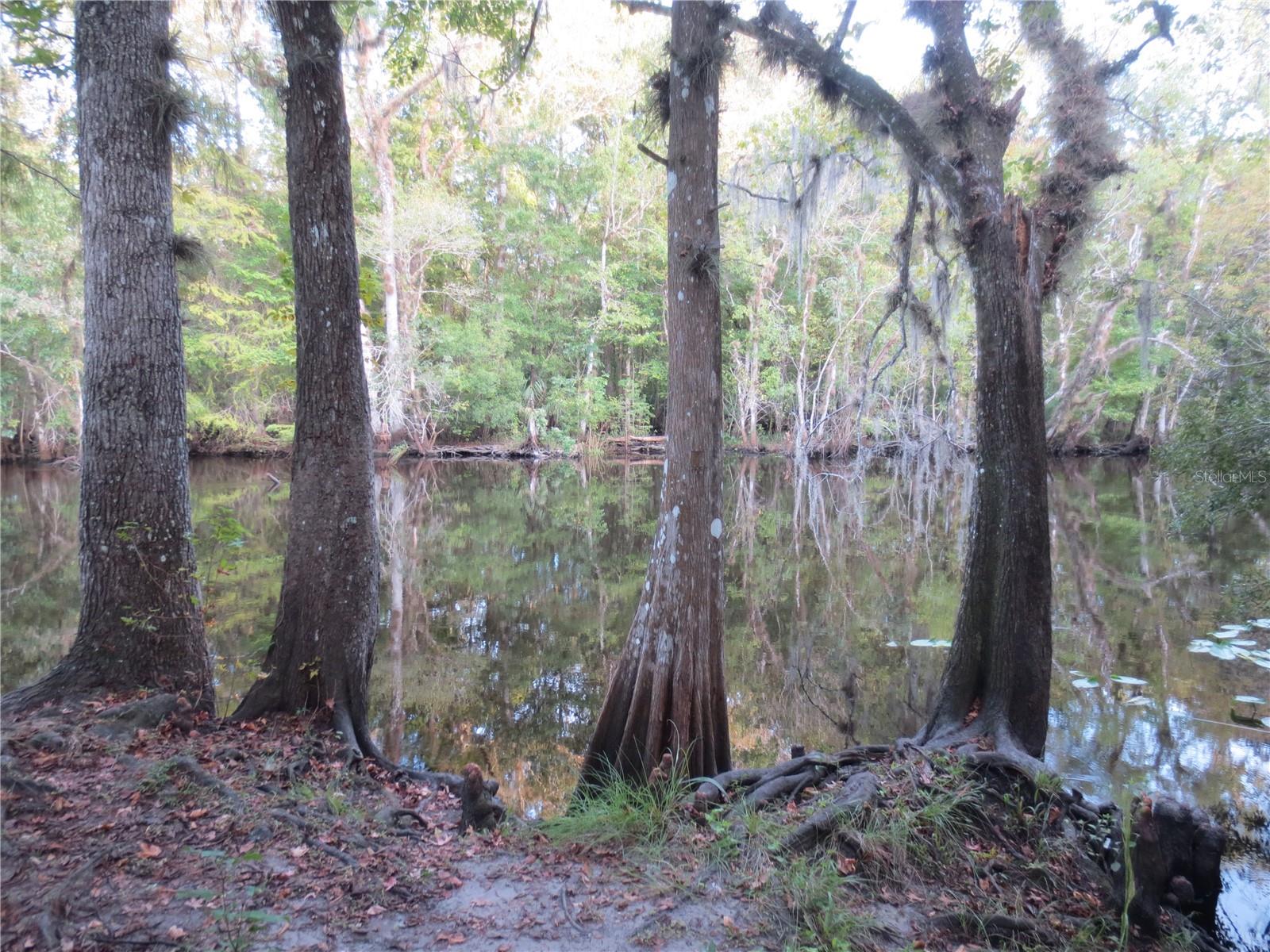 SILVER SPRINGS VILLAGE - Residential