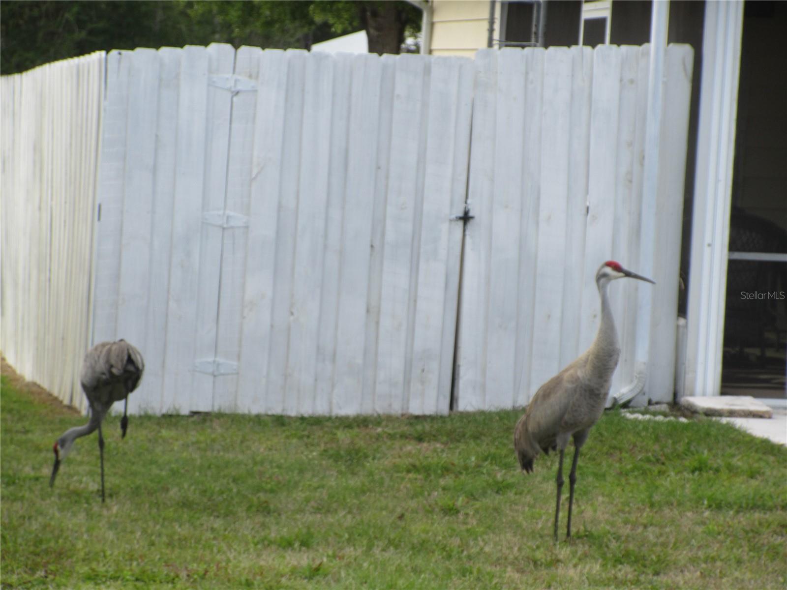 SILVER SPRINGS VILLAGE - Residential
