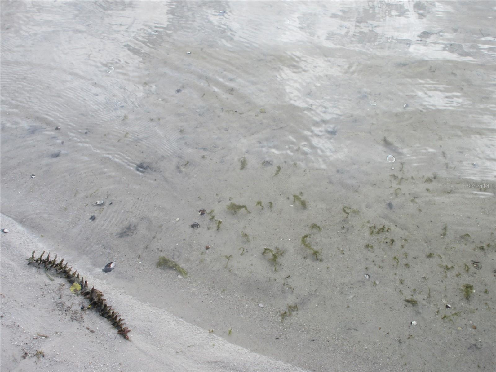 SILVER SPRINGS VILLAGE - Residential