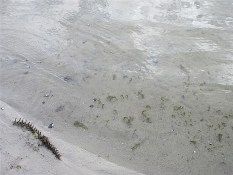 Tiny photo for 2380 SE 174th Court, Silver Springs, FL 34488 (MLS # OM722014)