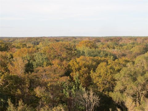 Tiny photo for 2380 SE 174th Court, Silver Springs, FL 34488 (MLS # OM722014)