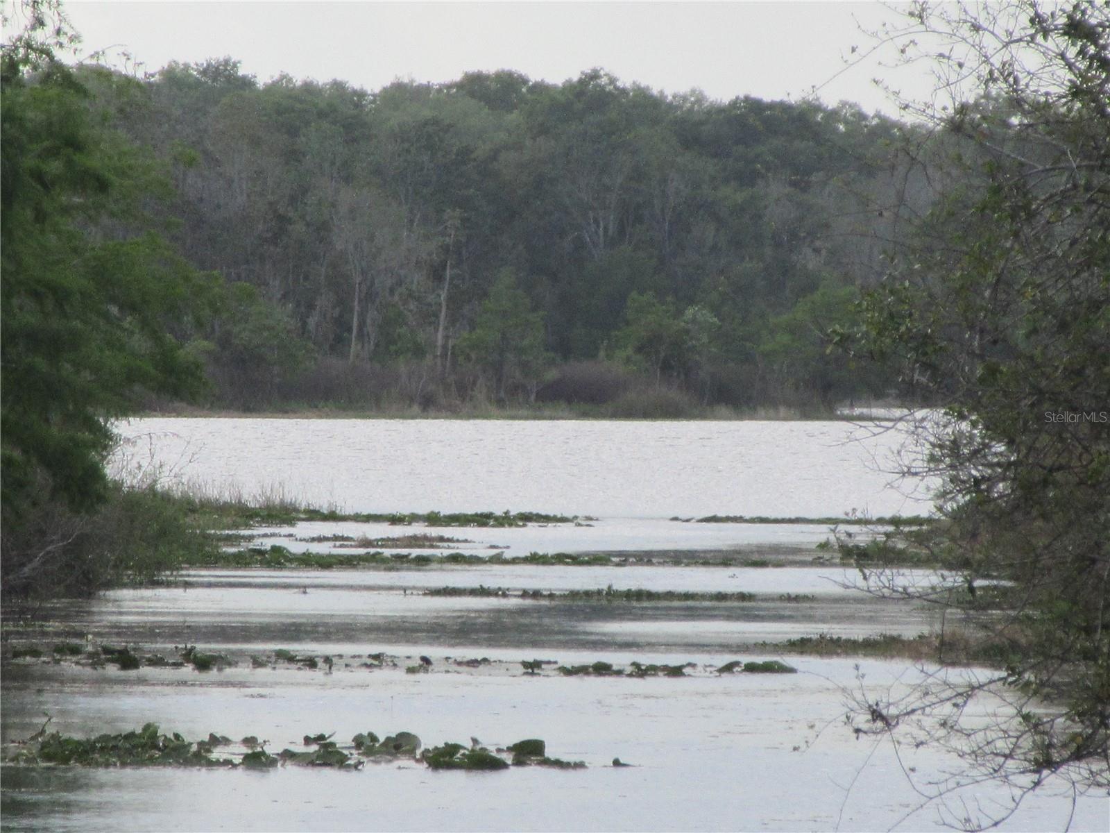 SILVER SPRINGS VILLAGE - Residential