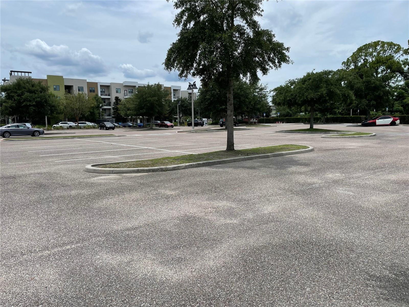 OVIEDO BLVD