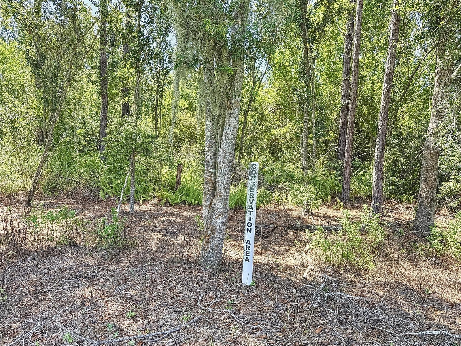 RYE WILDERNESS ESTATES PH II - Residential