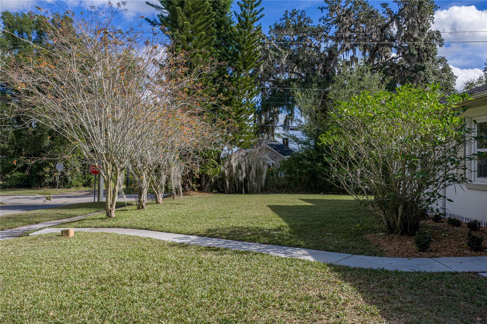 CONGRESS PARK - Residential