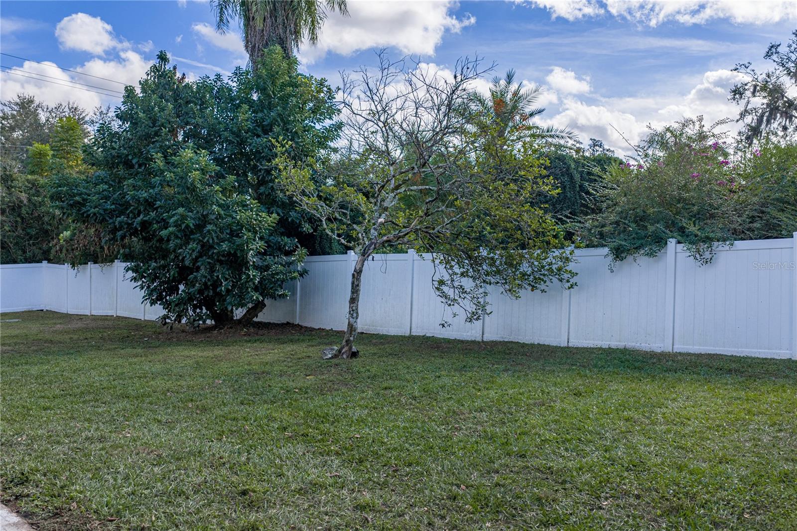 CONGRESS PARK - Residential