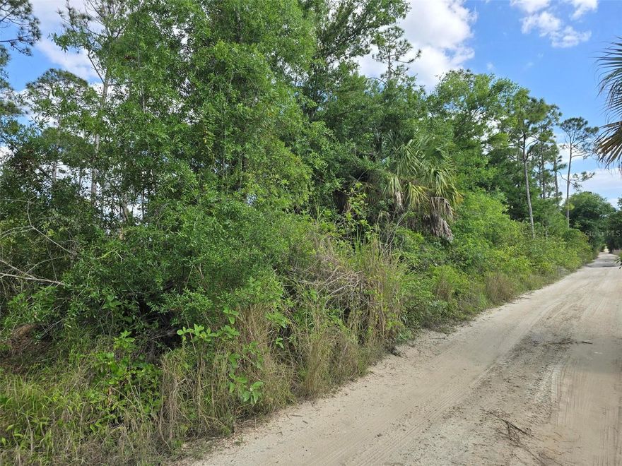 Build your Dream Home on this residential wooded lot located minuets from Punta Gorda Airport, Hwy 75, downtown Punta Gorda, the famous Fisherman’s Village, restaurants, shopping, entertainment and a short drive to many beaches like Boca Grande known as "Tarpon Capital of the World" for its world-class fishing and boating.