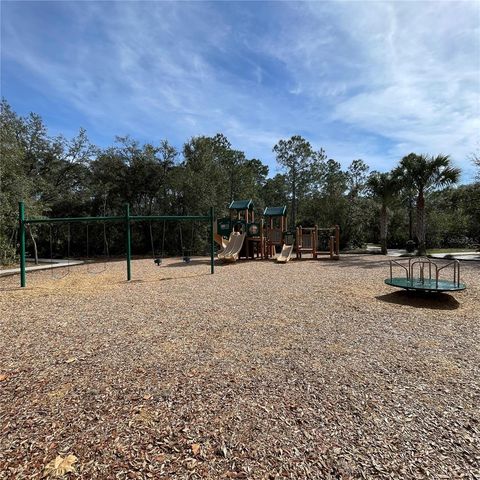 Tiny photo for 15812 Starlite Street, Clermont, FL 34714 (MLS # O6408236)