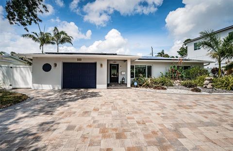 333 BELLEAIR DRIVE NE ST PETERSBURG FL 33704