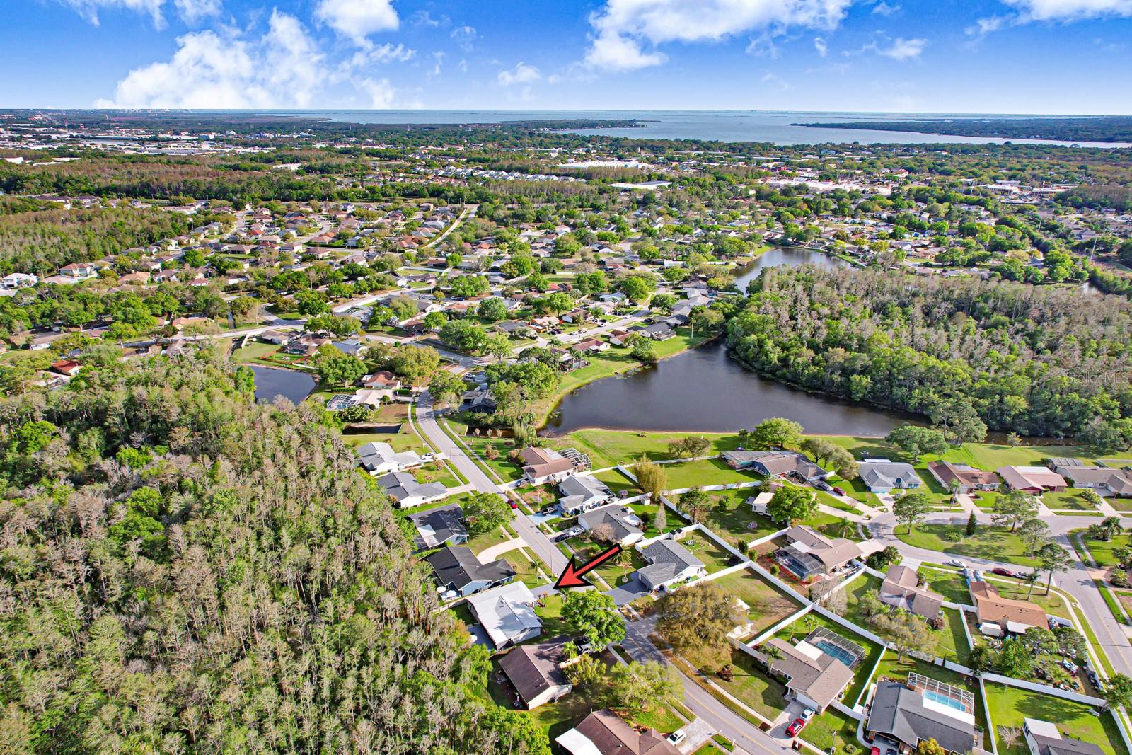 MANORS OF FOREST LAKES THE - Residential