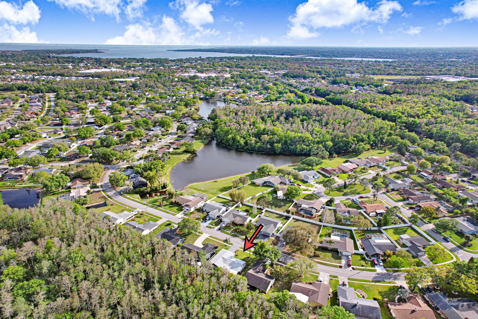 MANORS OF FOREST LAKES THE - Residential