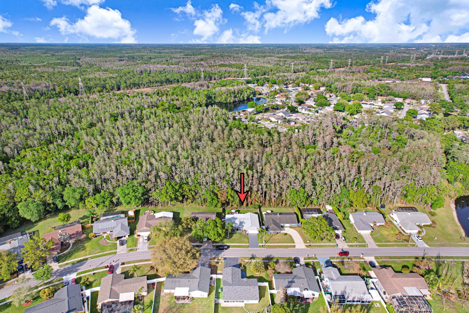 MANORS OF FOREST LAKES THE - Residential