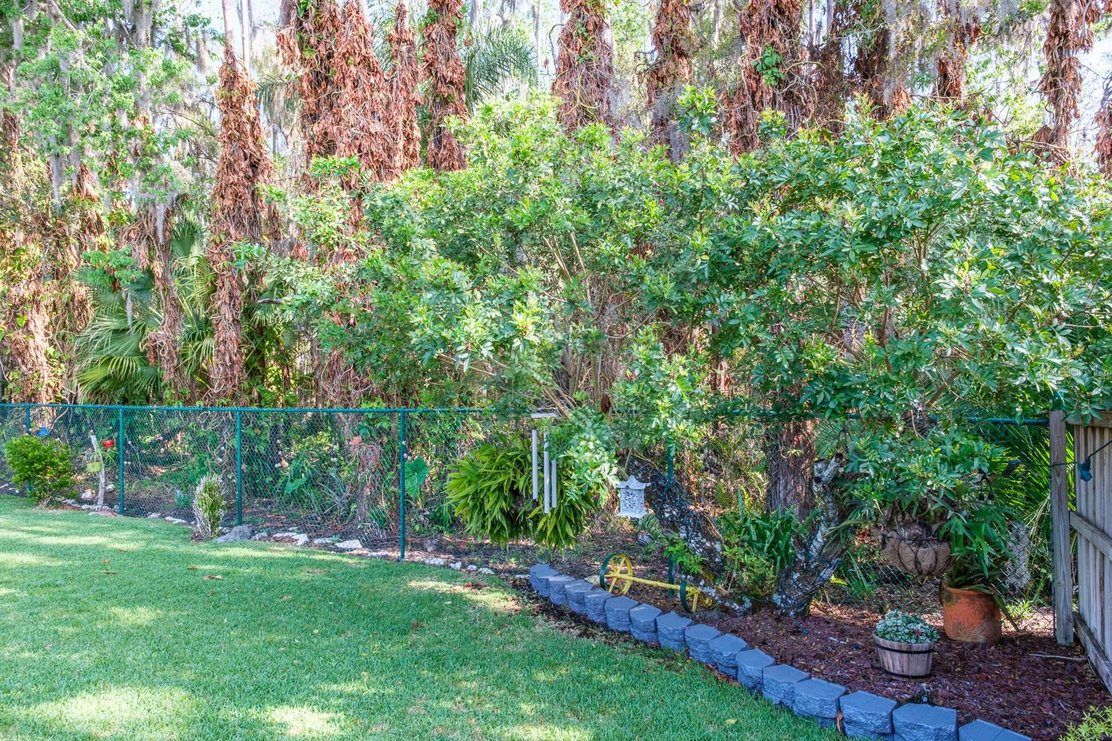 MANORS OF FOREST LAKES THE - Residential