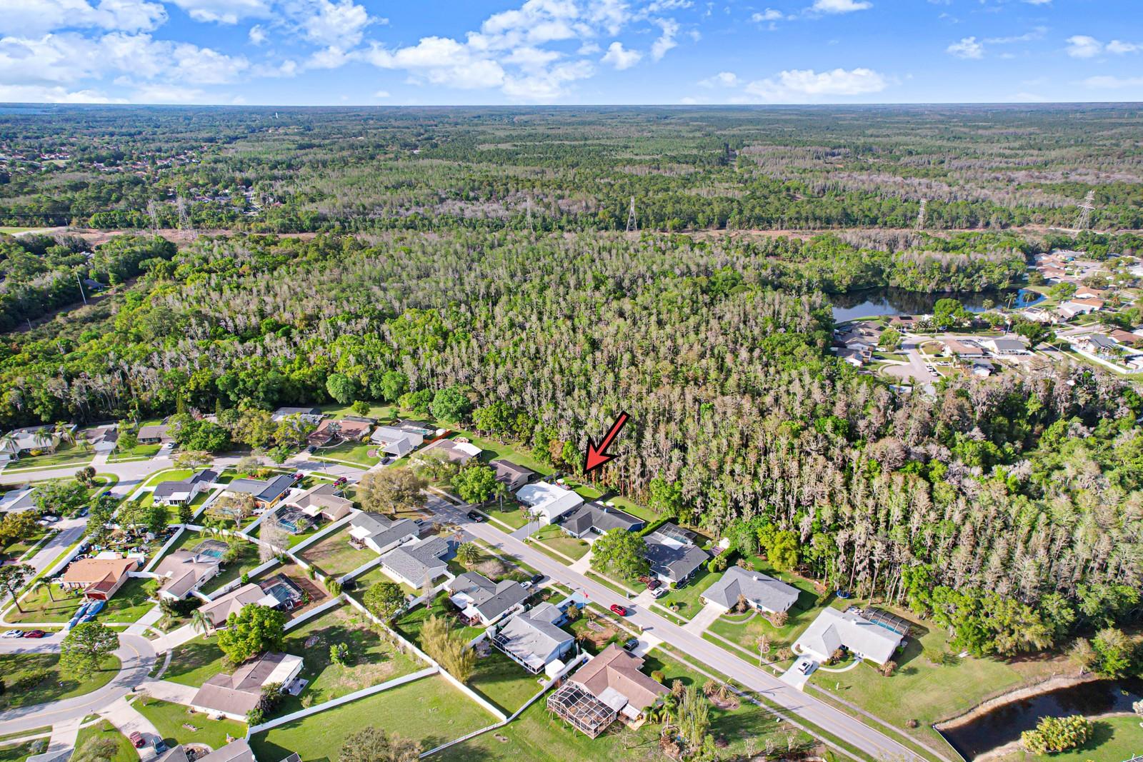 MANORS OF FOREST LAKES THE - Residential