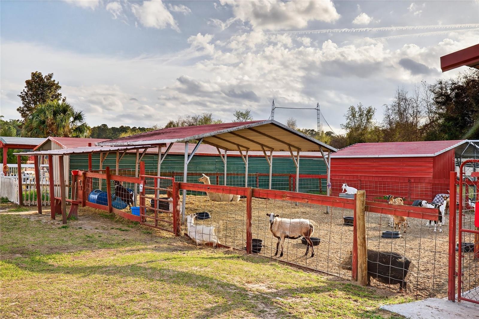 N/A - Business Opportunity