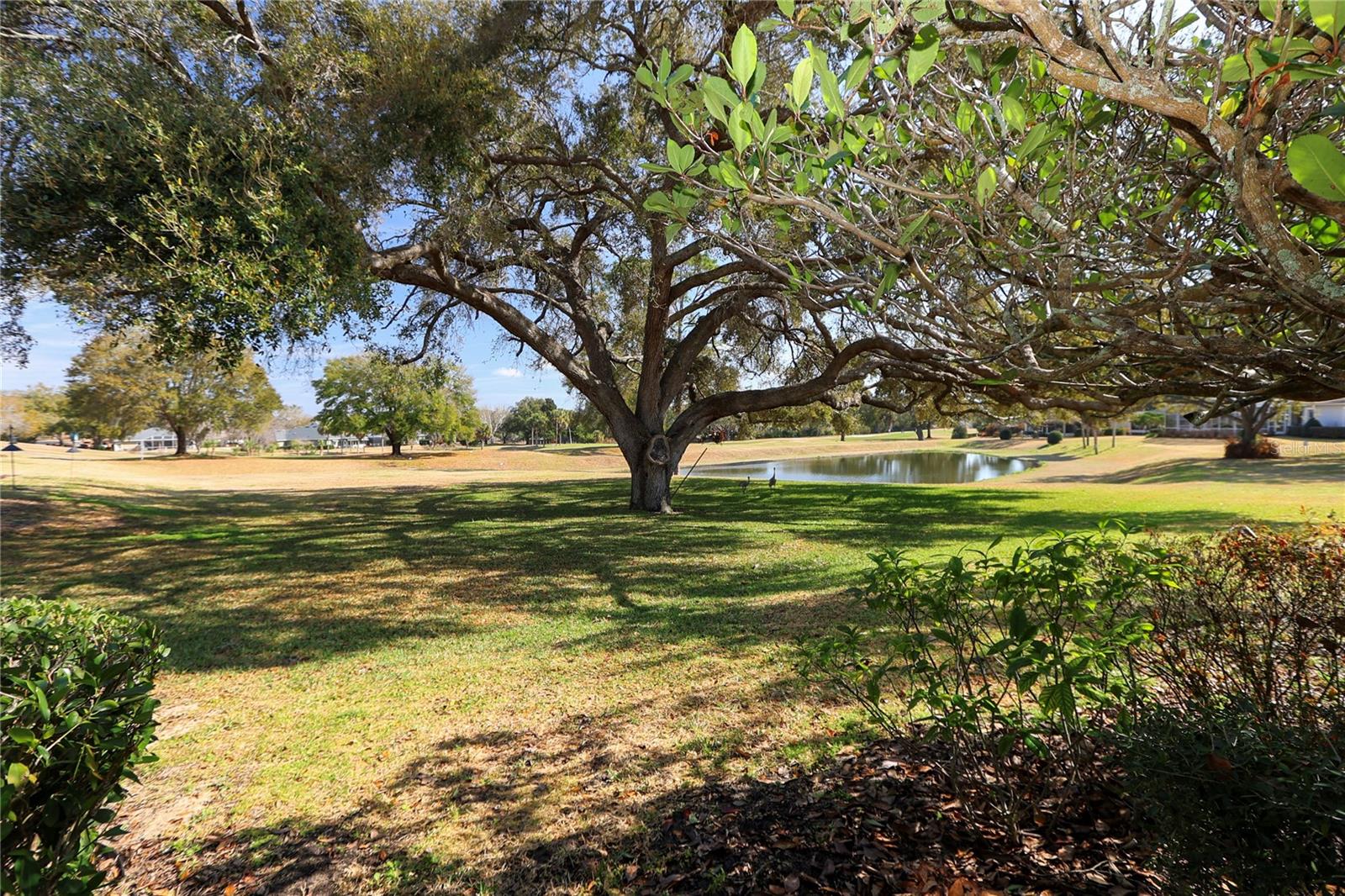 HARBOR HILLS PT REP - Residential