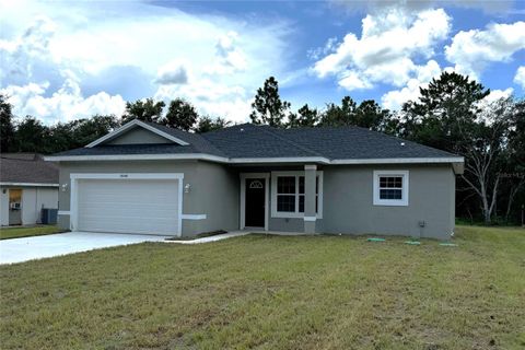 A home in CITRUS SPRINGS