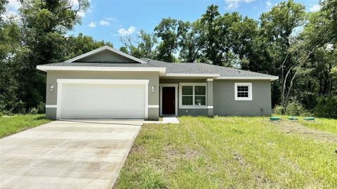 A home in CITRUS SPRINGS