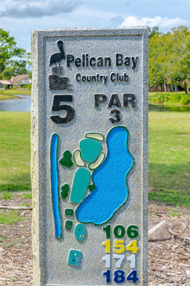 HAWKS LANDING AT PELICAN BAY - Residential