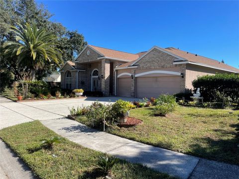 A home in ORLANDO