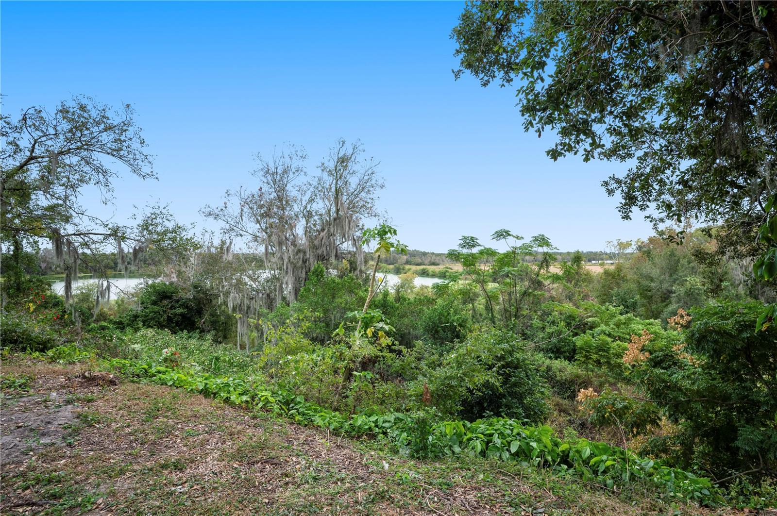 OAK TERRACE - Residential