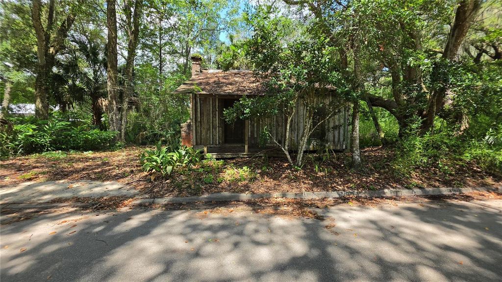 Photo of 304 NW 5th Street, Micanopy, FL 32667 (MLS # GC541530)