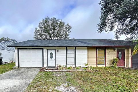 A home in LAND O LAKES