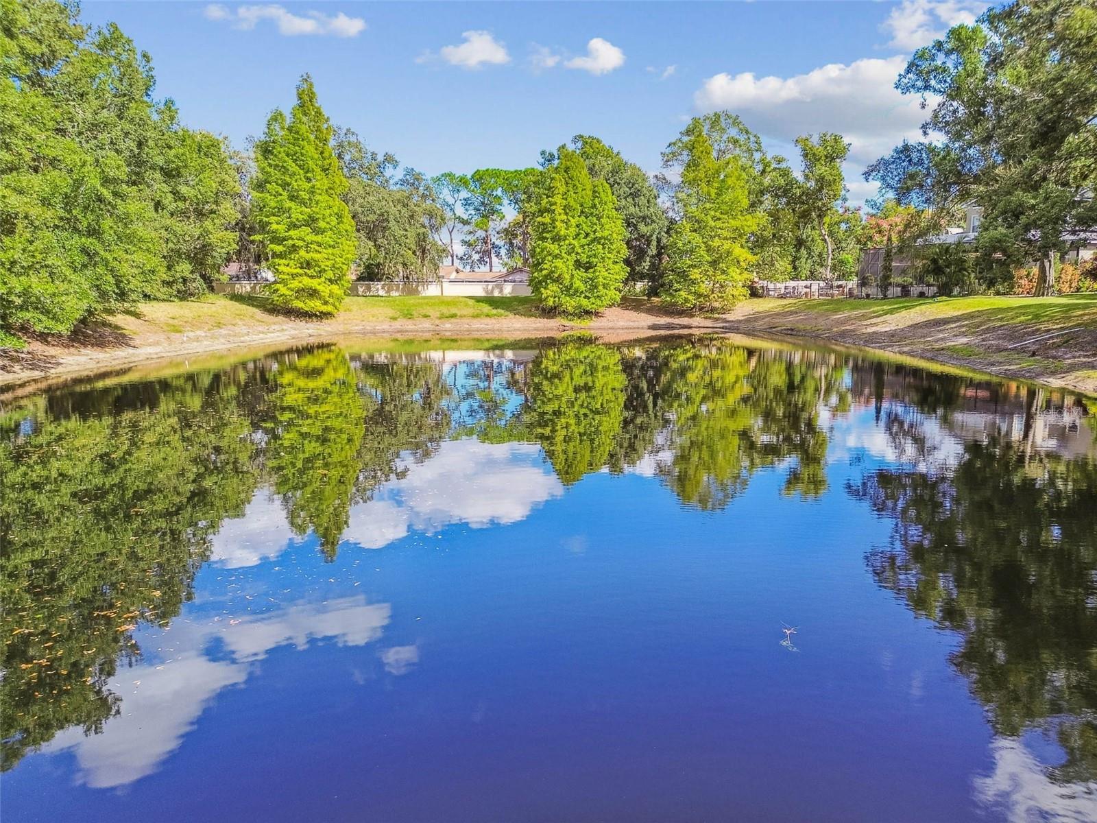 BELLA VISTA - Residential