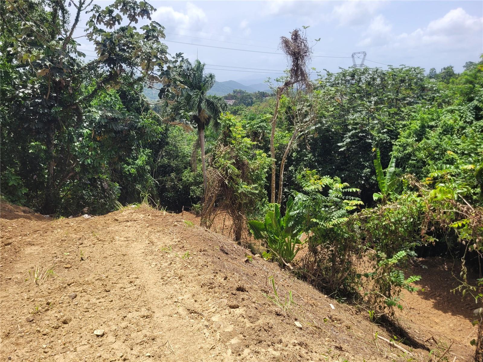 MULAS WARD - Residential