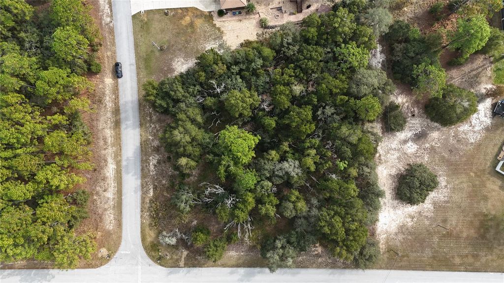 Photo of 2324 W Aleuts Dr, Beverly Hills, FL 34465 (MLS # O6362882)