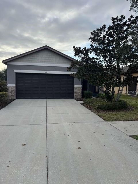 Photo of 4517 Paper Mulberry Place, Riverview, FL 33578 (MLS # TB8463962)