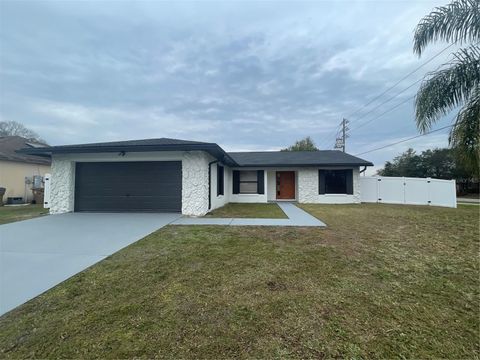 A home in KISSIMMEE